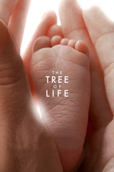 Poster of The Tree of Life movie