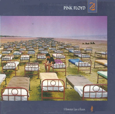 Cover of A Momentary Lapse Of Reason album